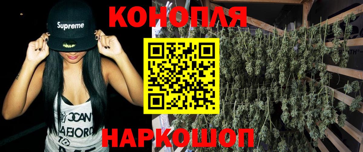 Канабис сатива Октябрьский